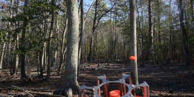 red wing sporting clays